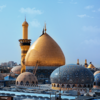 رضا حیدری