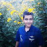 امیررضا خروطی